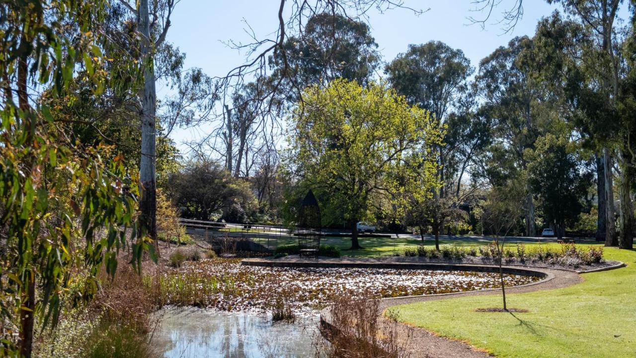 Parkview Motor Inn And Apartments Wangaratta Eksteriør billede